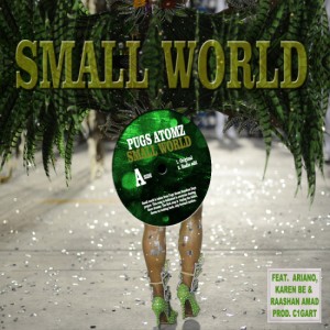 SMALL-WORLD