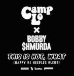 Camp Lo X Bobby $hmurda-This is Hot, what (Nappy DJ Needles blend)